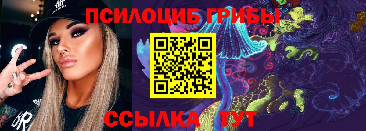 Галлюциногенные грибы мицелий  купить наркоту  Гудермес  Вход с VPN 