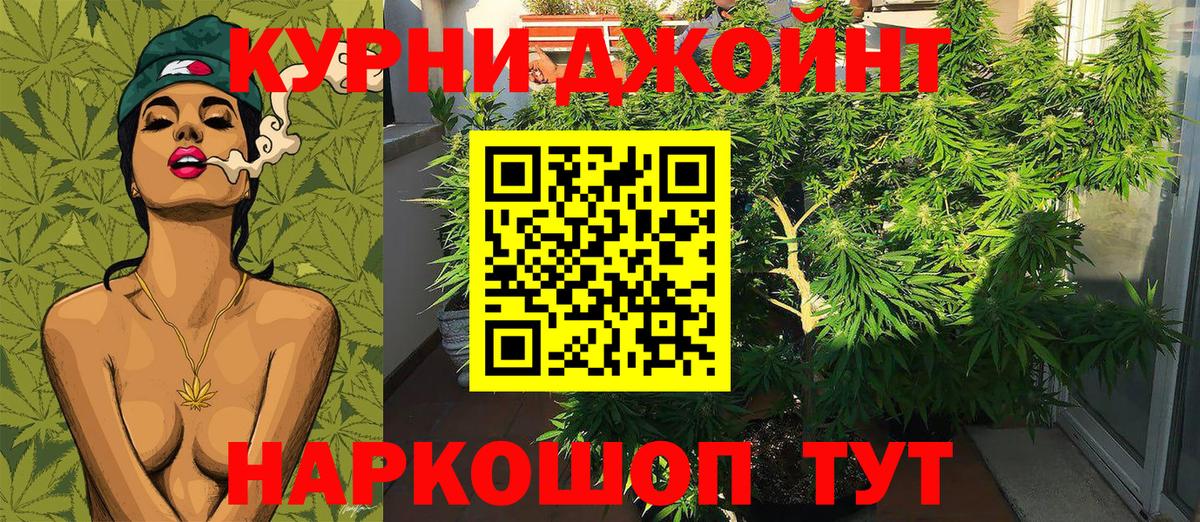 Бошки Шишки Ganja Гудермес